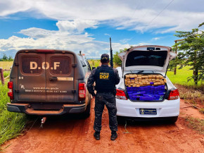 Durante fuga, traficante abandona veículo com R$ 1,1 milhão em drogas