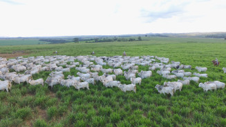 JBS amplia atendimento a pequenos produtores e apoia regularização ambiental de 1,7 mil propriedades rurais em MS
