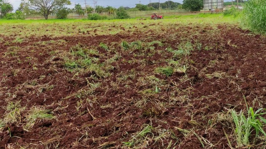Maquinários da Secretaria Municipal de Agricultura Familiar trabalham no apoio aos produtores. Foto: Semaf