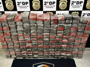 Polícia encontrou 222 tabletes de cocaína entre produtos de limpeza (Foto: Divulgação)