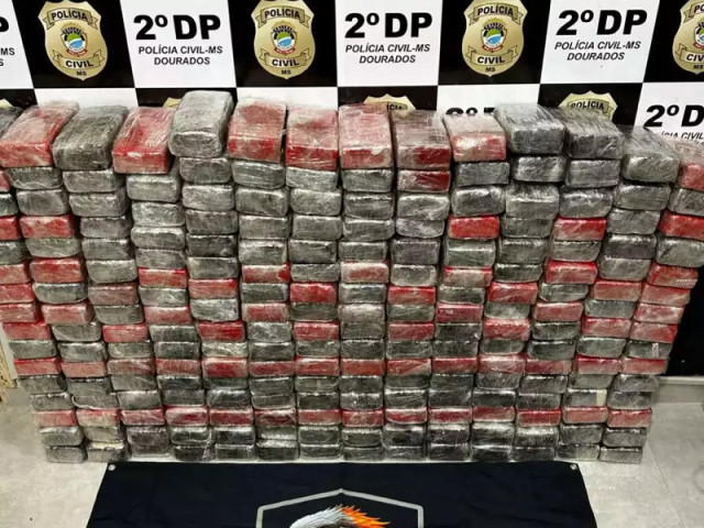 Polícia encontrou 222 tabletes de cocaína entre produtos de limpeza (Foto: Divulgação)