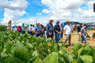 TecnoAgro 2025 reúne novidades do setor e conhecimento