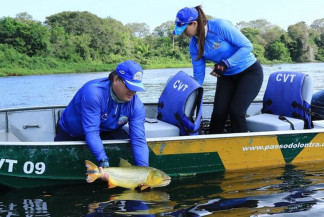 Pesca do Dourado segue proibida em Mato Grosso do Sul - Edemir Rodrigues / SecomMS