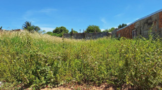 Prefeitura de Bonito vai limpar terrenos e mandar conta aos proprietários