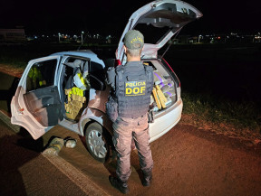 Jovem é preso pelo DOF com maconha, skunk e haxixe