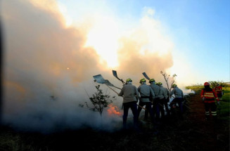 Governo lança este mês edital para contratação de brigadas em MS