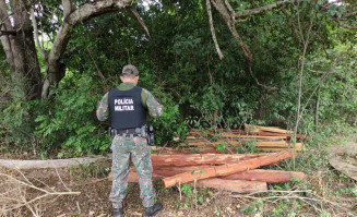 PMA flagra exploração ilegal de madeira em área de reserva legal de assentamento