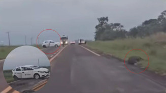 Motorista atropela anta e capota veículo na BR-060