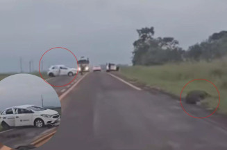 Motorista atropela anta e capota veículo na BR-060