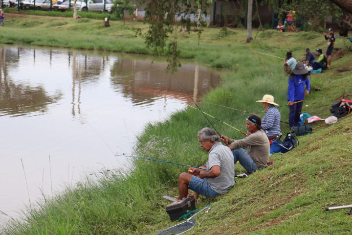 Peixes serão soltos no lago do parque Antenor Martins - Foto: Arquivo
