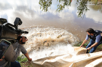 Lago do Parque Antenor Martins recebe 2,5 toneladas de peixes