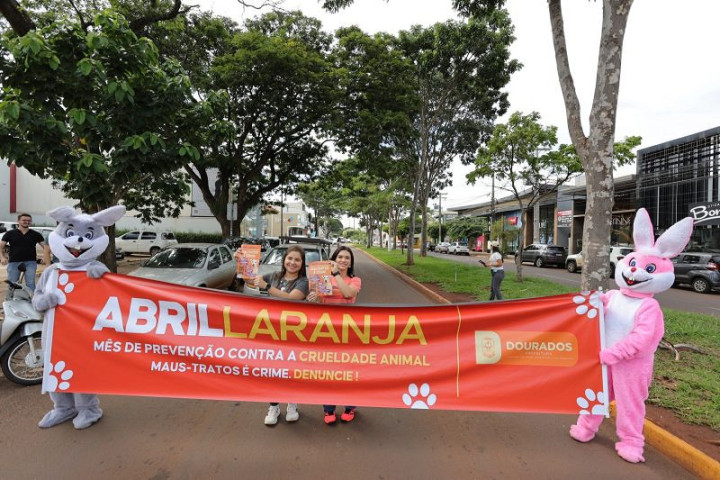 Voluntários aproveitaram o sinal fechado para entregar materiais informativos aos motoristas - Foto: A. Frota