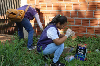 Chuva faz disparar casos de dengue em todo MS
