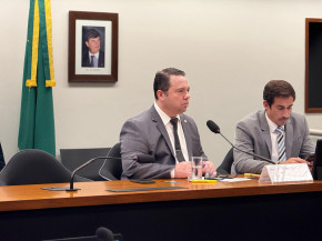 A iniciativa de convocação da ministra é de autoria do deputado federal Rodolfo Nogueira (PL-MS)