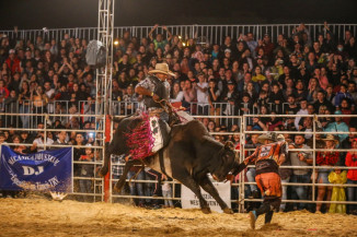 Rodeio na Expoagro começa nesta sexta-feira