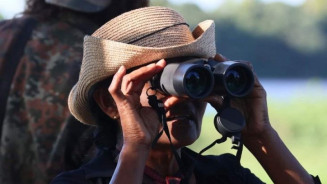 MS reforça posição como importante destino de observação de aves
