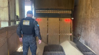 Droga avaliada em R$ 18 milhões é apreendida em carreta com soja em Dourados