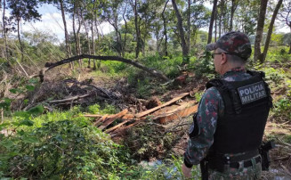 PMA intensifica fiscalizações no Rio Paraguai e multa empresário por exploração ilegal de madeira. (Foto: Divulgação PMA)