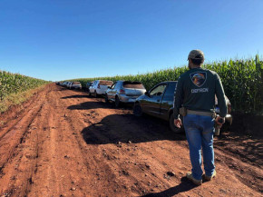 Dos veículos perseguidos, 16 foram interceptados e apreendidos - Foto: Defron
