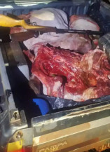 Carne furtada dentro da carroceria da Pampa (Foto: Alfredo Neto | JPNews)