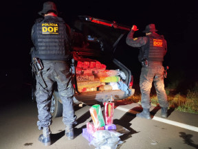 DOF apreende mais de 260 kg de drogas em Parati e prende dupla em Amambai