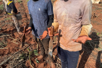 Força-tarefa resgata sete paraguaios - Foto: MPT