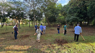 Plantio de árvores ocorreu em três espaços diferentes da feira Central de Dourados -Fotos: Assecom