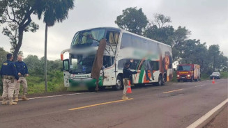 Acidente mobilizou equipes da PRF e do Corpo de Bombeiros neste domingo. (Reprodução: PRF)