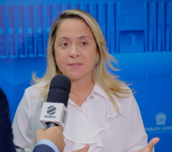 Reativação de viveiro de mudas em Itaporã é solicitada por Lia Nogueira