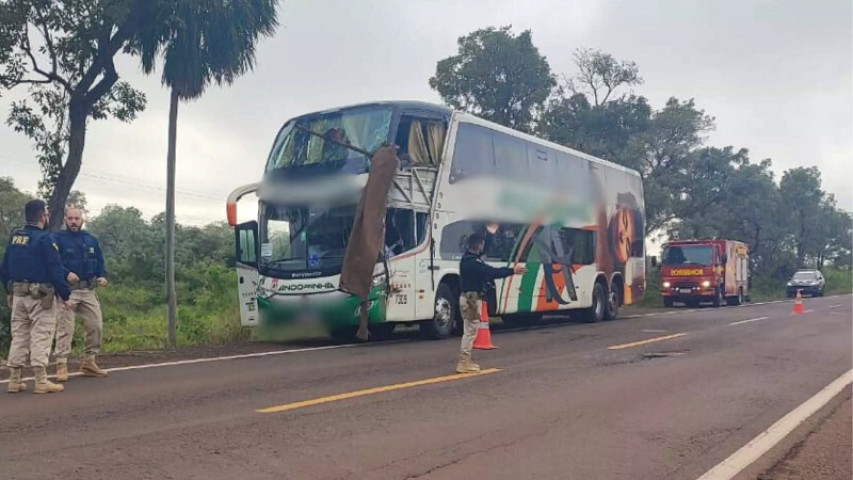 Falha na pista teria sido causa de acidente fatal entre ônibus e caminhão - DIVULGAÇÃO