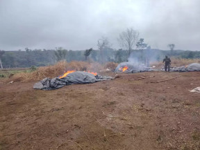 Droga foi destruída em meio a área verde. (Foto: Reprodução/ABC Color)