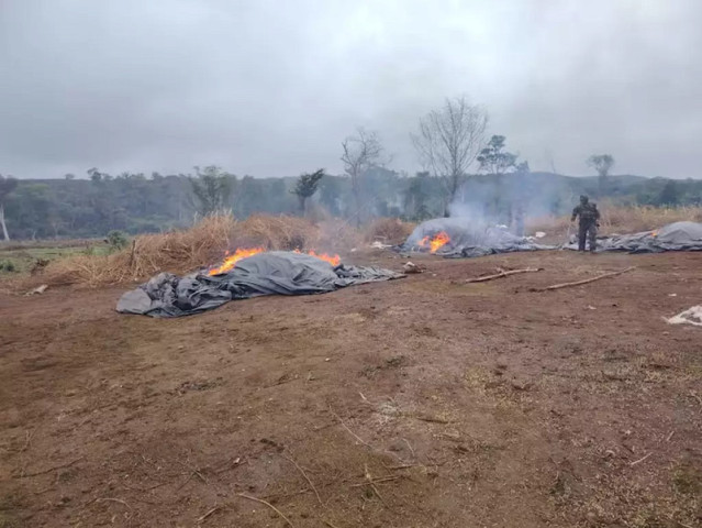 Droga foi destruída em meio a área verde. (Foto: Reprodução/ABC Color)