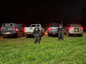 Os três veículos são avaliados em cerca de R$ 500 mil - Foto: DOF