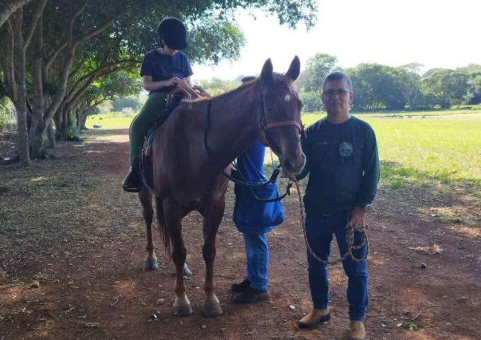 Policiais acionaram veterinário, mas animal não resistiu (Foto: Reprodução, PMA)