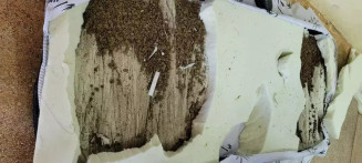 Colchão recheado com maconha levado por advogada (Foto: Divulgação)