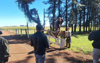 Proprietário rural de Maracaju deverá indenizar trabalhadores paraguaios resgatados em situação análoga à escravidão