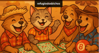 Dourados terá Bingo Solidário no domingo em prol da causa animal