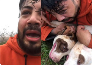 Pitbulls que atacaram professor vigiavam terreno com materiais de construção