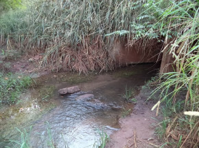 Córrego Laranja Doce nasce na aldeia Bororó, atravessa região de condomínios de luxo, passa pelo BNH 3º Plano e segue para área rural - Foto: MPMS