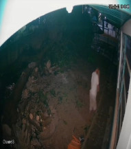 Amputado escala muro e furta escola infantil em MS