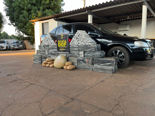 Droga apreendida com traficante foi feito pelo DOF - Foto: Divulgação/DOF