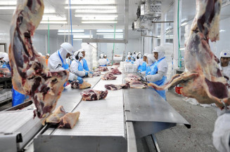 uatro frigoríficos de Mato Grosso do Sul estão habilitados para exportar carne bovina aos EUA - Foto: Fiems/Arquivo