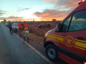 Reprodução/Jornal da Nova  Leia mais em: https://www.topmidianews.com.br/interior/motorista-perde-controle-da-direcao-e-capota-caminhonete-em-ivinhema/225074/