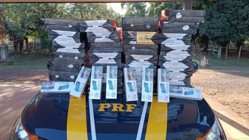Apreensões foram feitas no mesmo quilômetro da BR-419 (Divulgação / PRF)