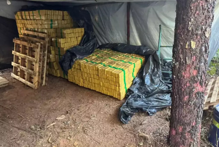 Tabletes da droga escondidos em acampamento a 80 km de Campo Grande (Foto: Divulgação | PF)