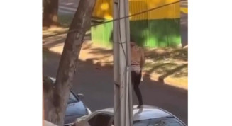 Além de agredir pessoas a mulher danificou veículos - Foto: Reprodução