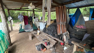 Arrendatários indenizam trabalhadores resgatados de trabalho escravo em fazenda de MS