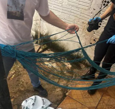 Criança foi encontrada sem vida pela mãe - Foto: Divulgação