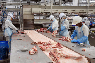 Produção industrial de MS se manteve estável ou em crescimento na maioria das empresas em junho