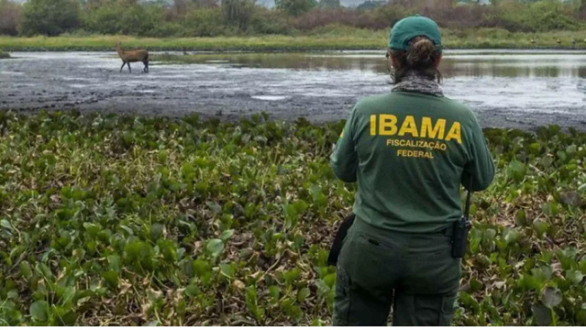A medida é considerada diante do risco de novos incidentes no conflito crescente entre ribeirinhos - Foto: ICMBio